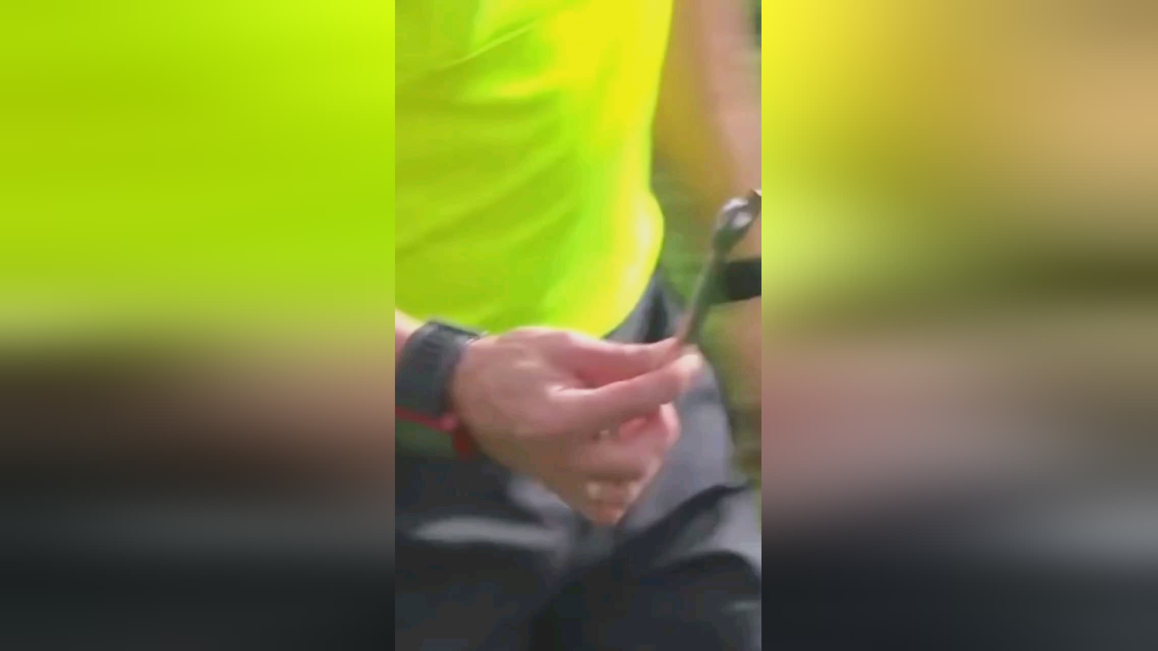 项战
