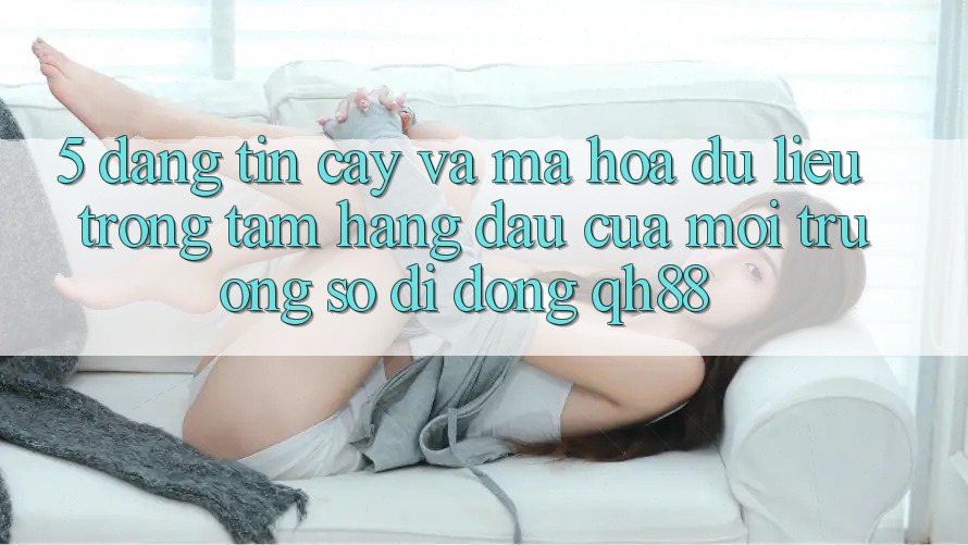 5. Đáng tin cậy Và Mã hóa dữ liệu: Trọng Tâm Hàng Đầu Của Môi trường số di động QH88