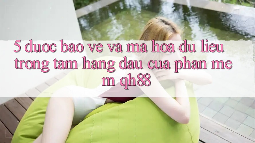 5. Được bảo vệ Và Mã hóa dữ liệu: Trọng Tâm Hàng Đầu Của Phần mềm QH88 5. Được bảo vệ Và Mã hóa dữ liệu: Trọng Tâm Hàng Đầu Của Phần mềm QH88