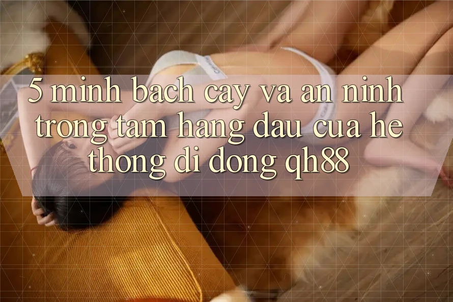 5. Minh bạch cậy Và An ninh: Trọng Tâm Hàng Đầu Của Hệ thống di động QH88 5. Minh bạch cậy Và An ninh: Trọng Tâm Hàng Đầu Của Hệ thống di động QH88