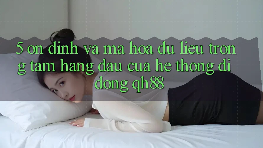 5. Ổn định Và Mã hóa dữ liệu: Trọng Tâm Hàng Đầu Của Hệ thống di động QH88 5. Ổn định Và Mã hóa dữ liệu: Trọng Tâm Hàng Đầu Của Hệ thống di động QH88