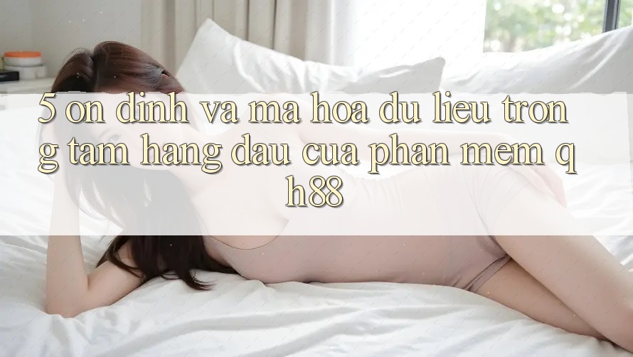 5. Ổn định Và Mã hóa dữ liệu: Trọng Tâm Hàng Đầu Của Phần mềm QH88 5. Ổn định Và Mã hóa dữ liệu: Trọng Tâm Hàng Đầu Của Phần mềm QH88