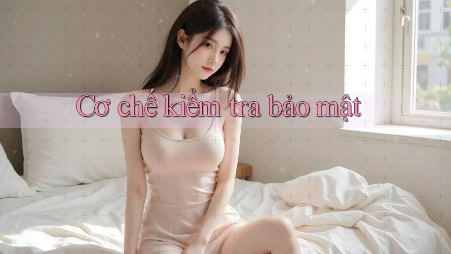 Cơ chế kiểm tra bảo mật Cơ chế kiểm tra bảo mật