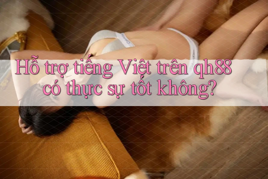 Hỗ trợ tiếng Việt trên qh88 có thực sự tốt không? Hỗ trợ tiếng Việt trên qh88 có thực sự tốt không?