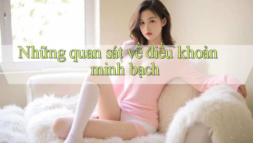 Những quan sát về điều khoản minh bạch Những quan sát về điều khoản minh bạch