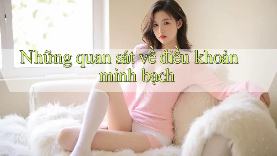 Những quan sát về điều khoản minh bạch Những quan sát về điều khoản minh bạch
